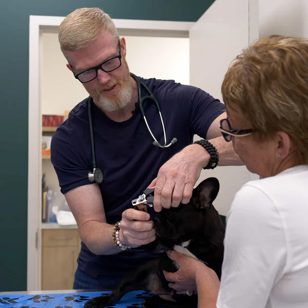 Dr Jeff Dand Westmount-Animal-Clinic-Vet-Clinic-in-Kensington