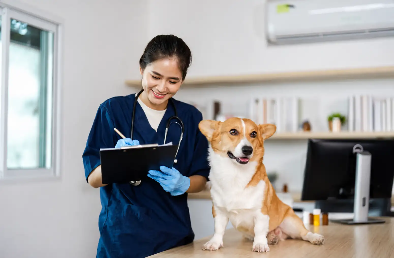How Often Should You Take Your Dog to the Vet?