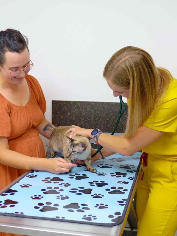 Animal Hospital In Calgary, Westmount Animal Clinic9