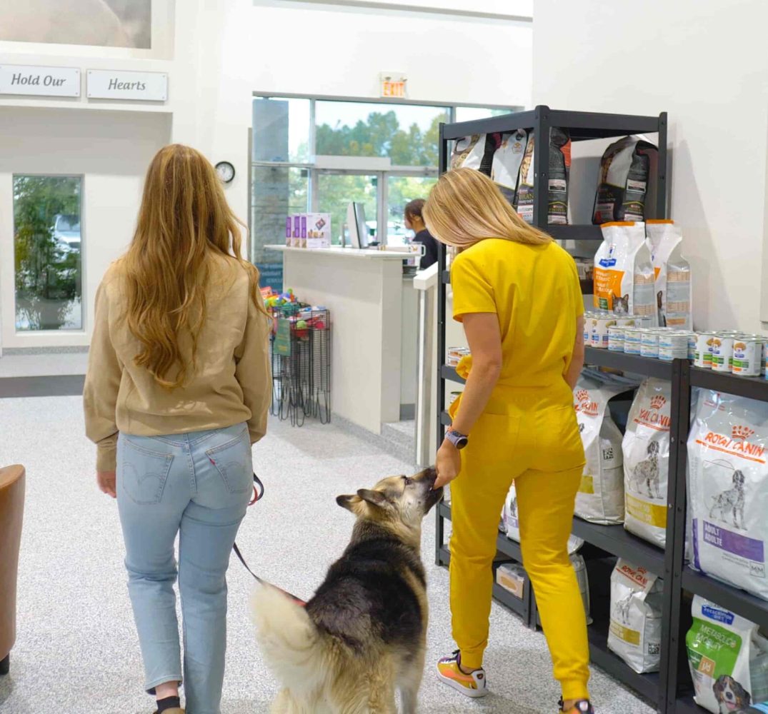 Kensington Vet Clinic, Westmount Animal Clinic 58