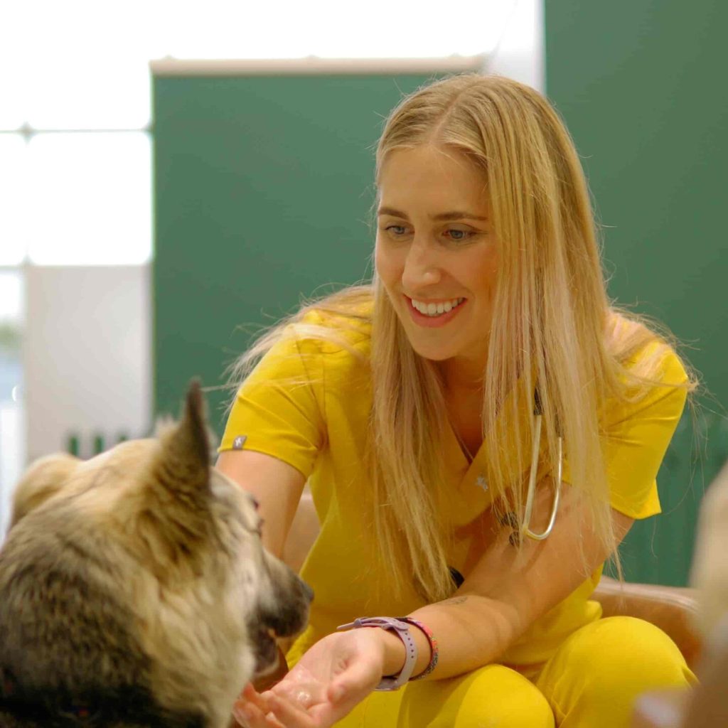 Pet Hospital in Calgary, Westmount Animal Clinic 6
