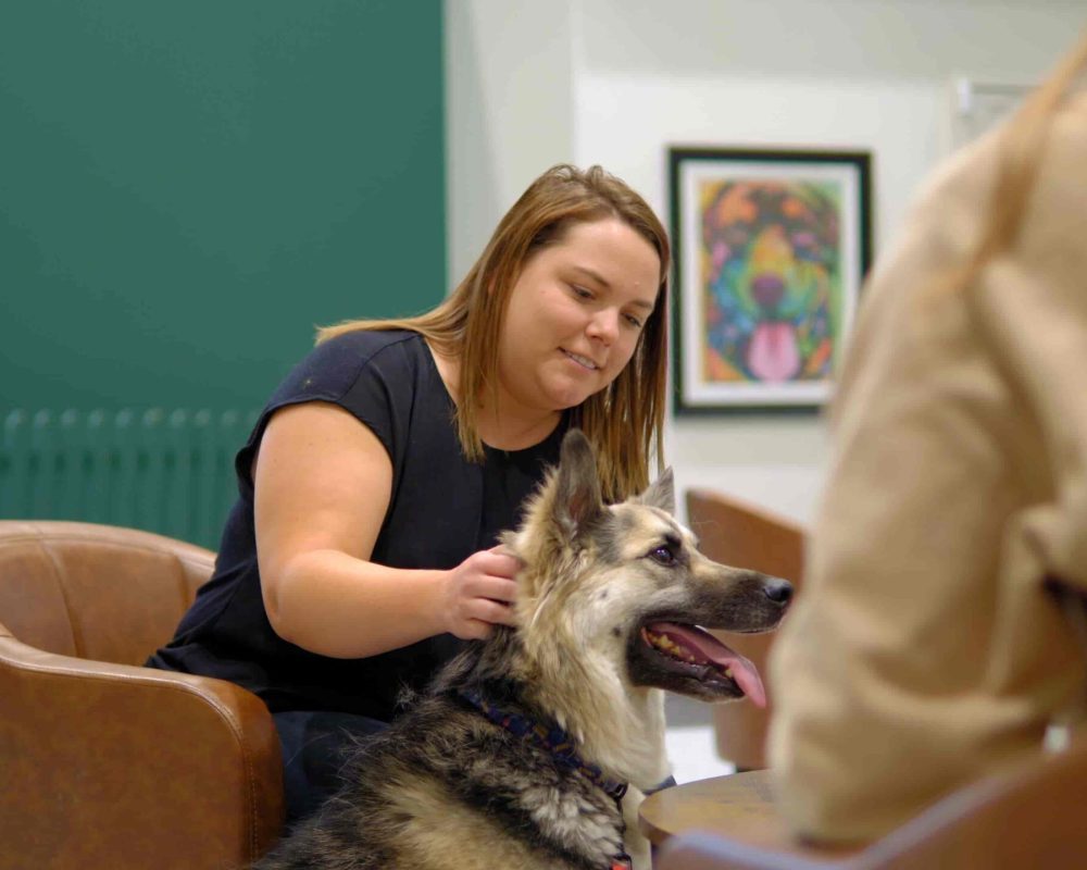Vet Hsopital in Calgary, Westmount Animal Clinic1