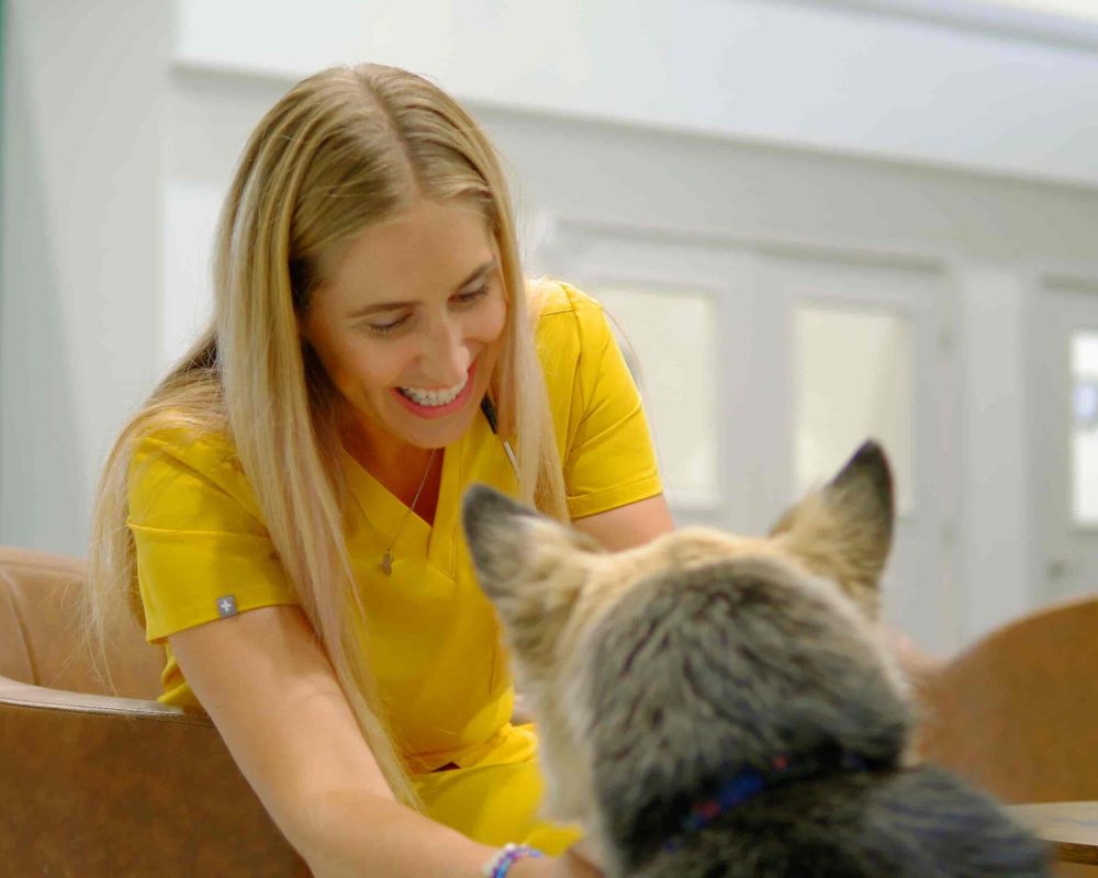 Vet Hsopital in Calgary, Westmount Animal Clinic10
