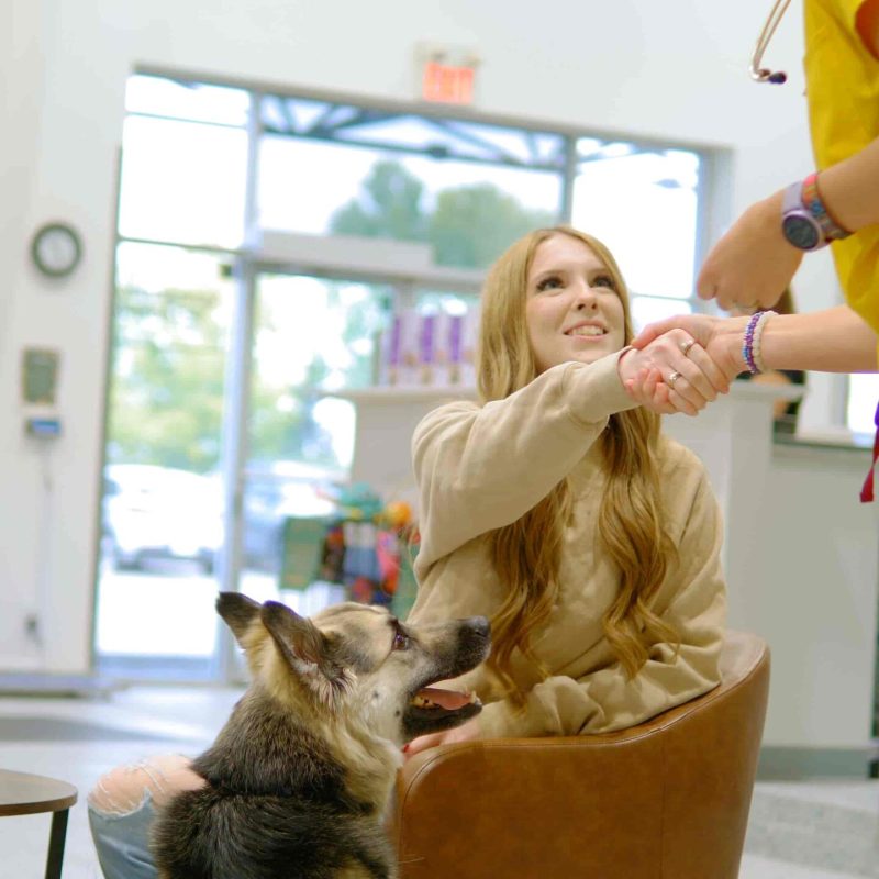 Vet Hsopital in Calgary, Westmount Animal Clinic5