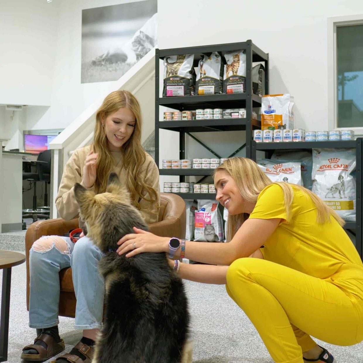Vet Hsopital in Calgary, Westmount Animal Clinic7