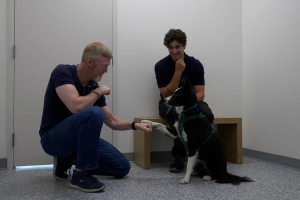 Dr. Jeff Dand Veterinarian at Westmount Animal Clinic
