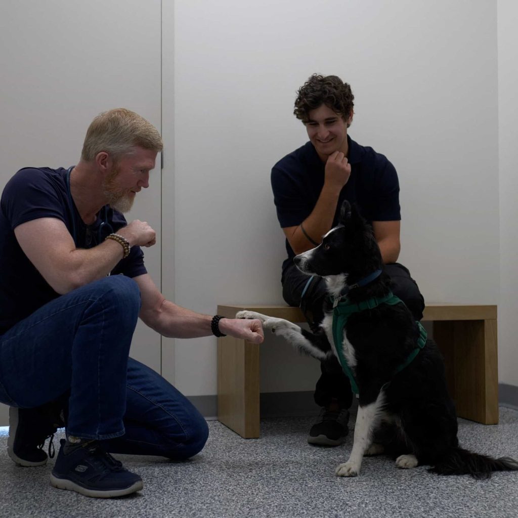 Dr. Jeff Dand Veterinarian at Westmount Animal Clinic
